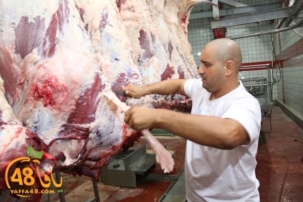 Jam3iya ada7ya (21).jpg